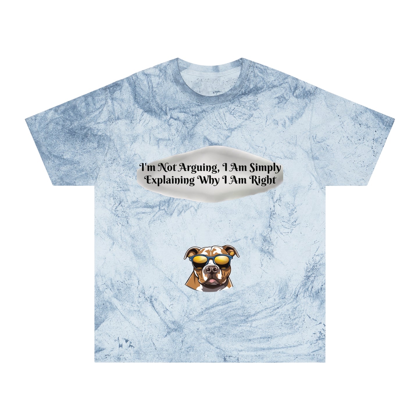 Unisex Color Blast T-Shirt The Cayla Special I'm Not Arguing Shirt